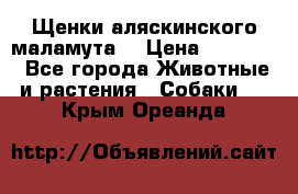 Щенки аляскинского маламута  › Цена ­ 15 000 - Все города Животные и растения » Собаки   . Крым,Ореанда